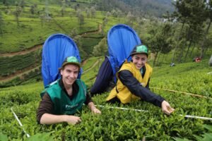 Best places to visit in Sri Lanka