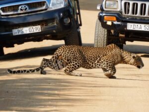 Best places to visit in Sri Lanka