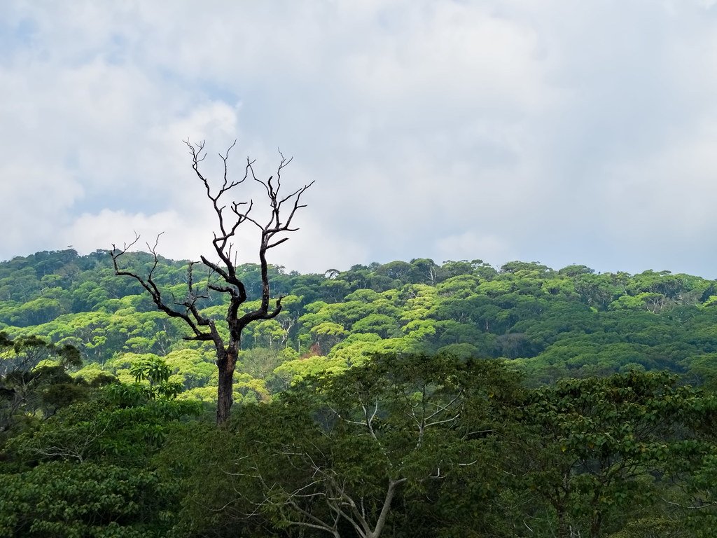 eco tours sri lanka