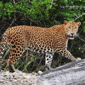 Family-Friendly Discovery Tour – 12 Days