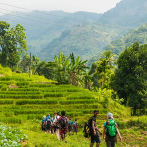 Off-the-Beaten-Path Sri Lanka – 12 Days